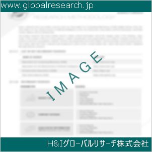 グローバルリサーチ調査資料のイメージ